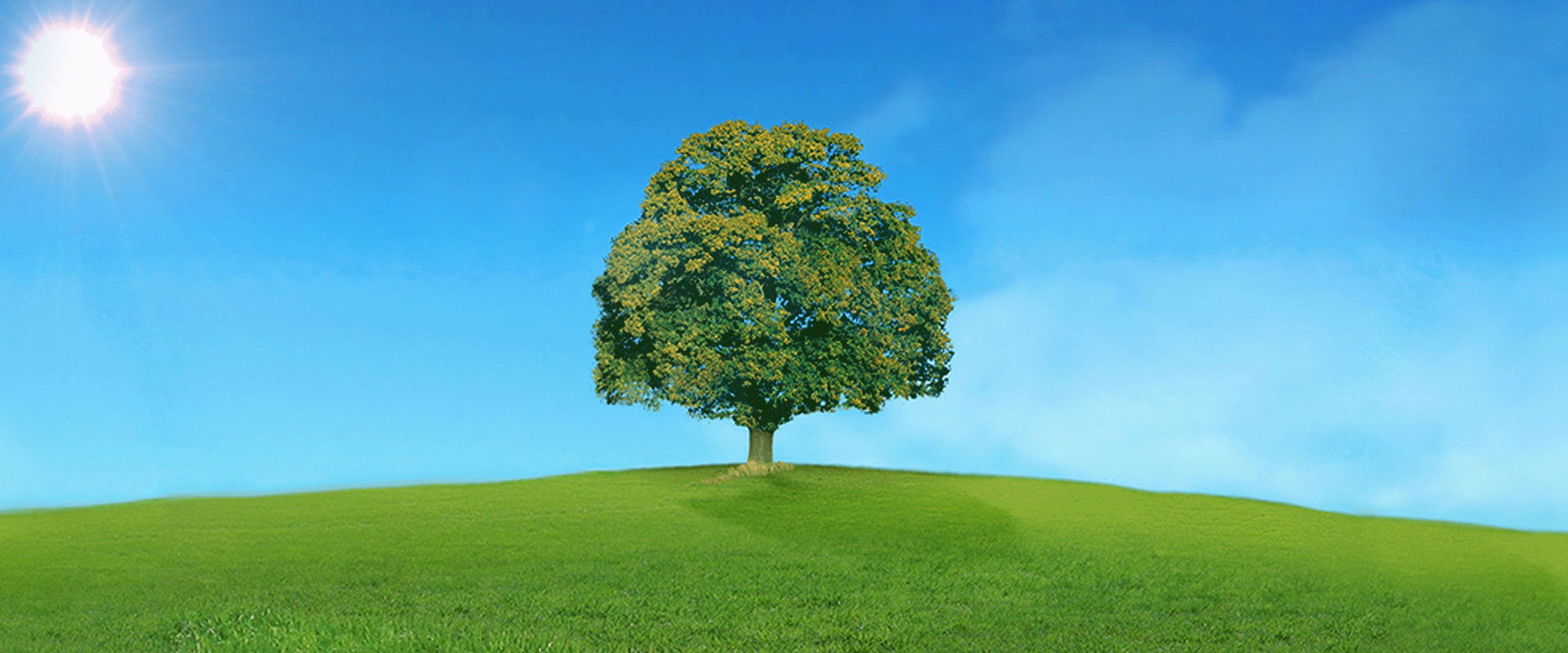 Who Do You Think You Are?