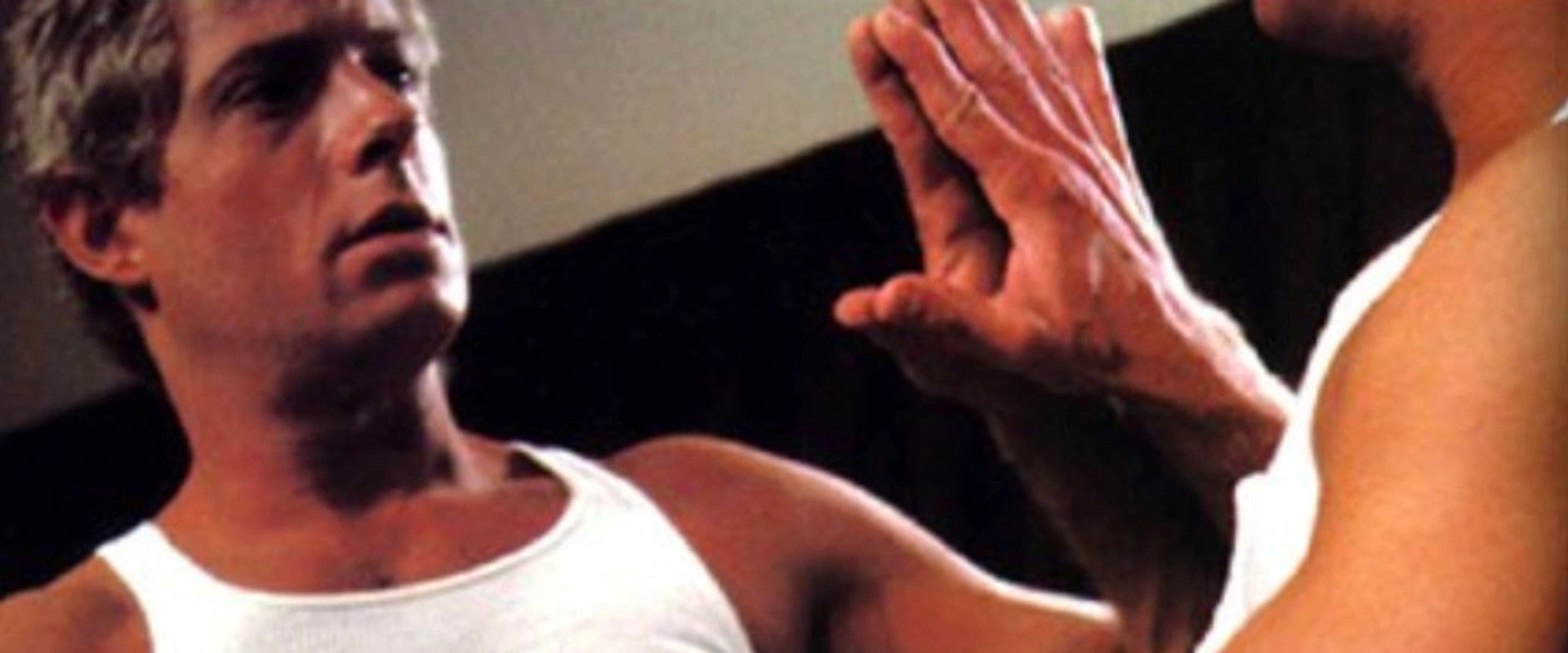 Gemini's banner image