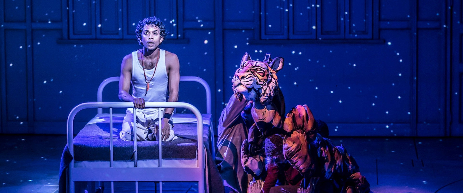 National Theatre Live: Life of Pi's banner image