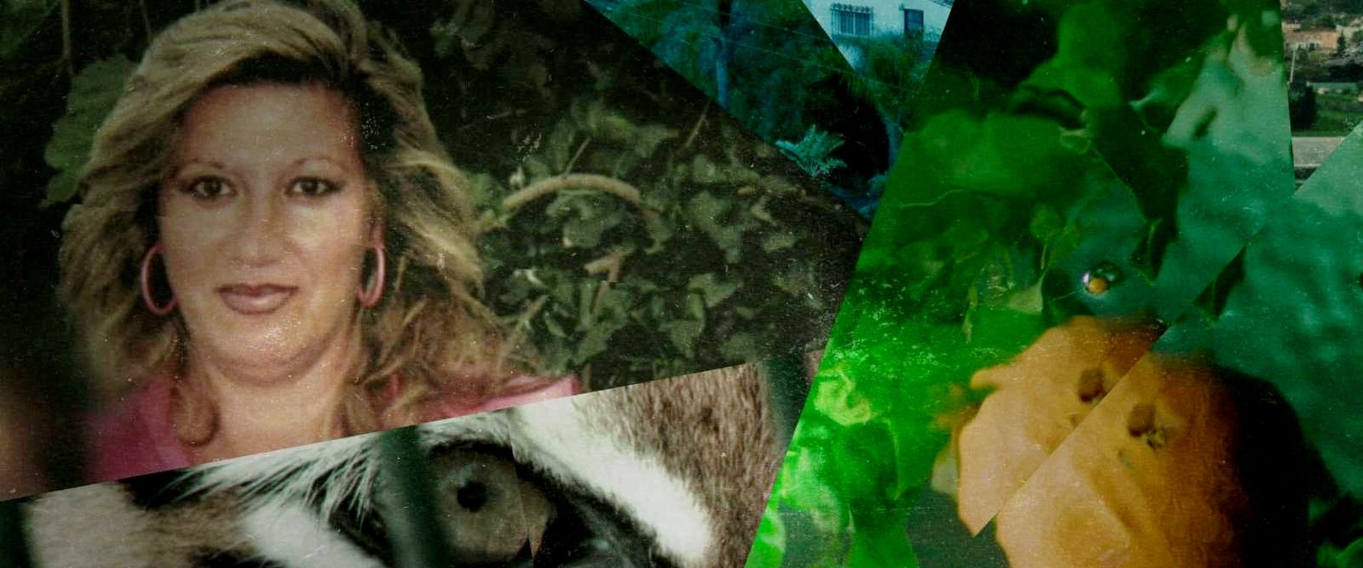 Lucía in the Cobweb