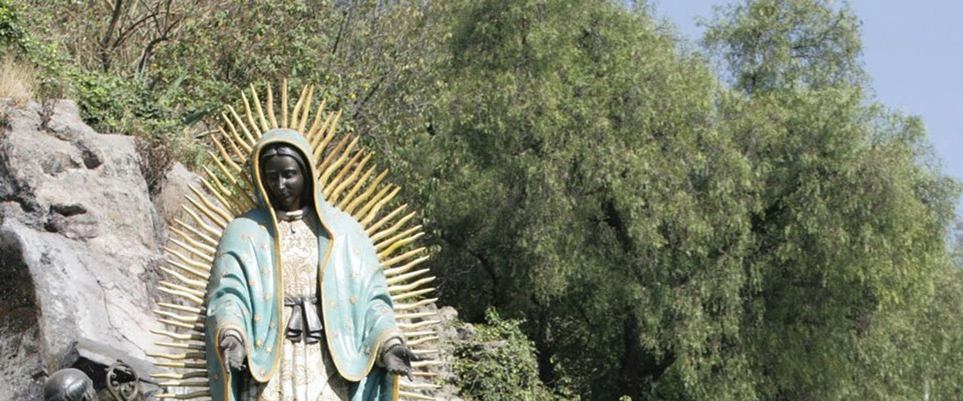 La rosa de Guadalupe