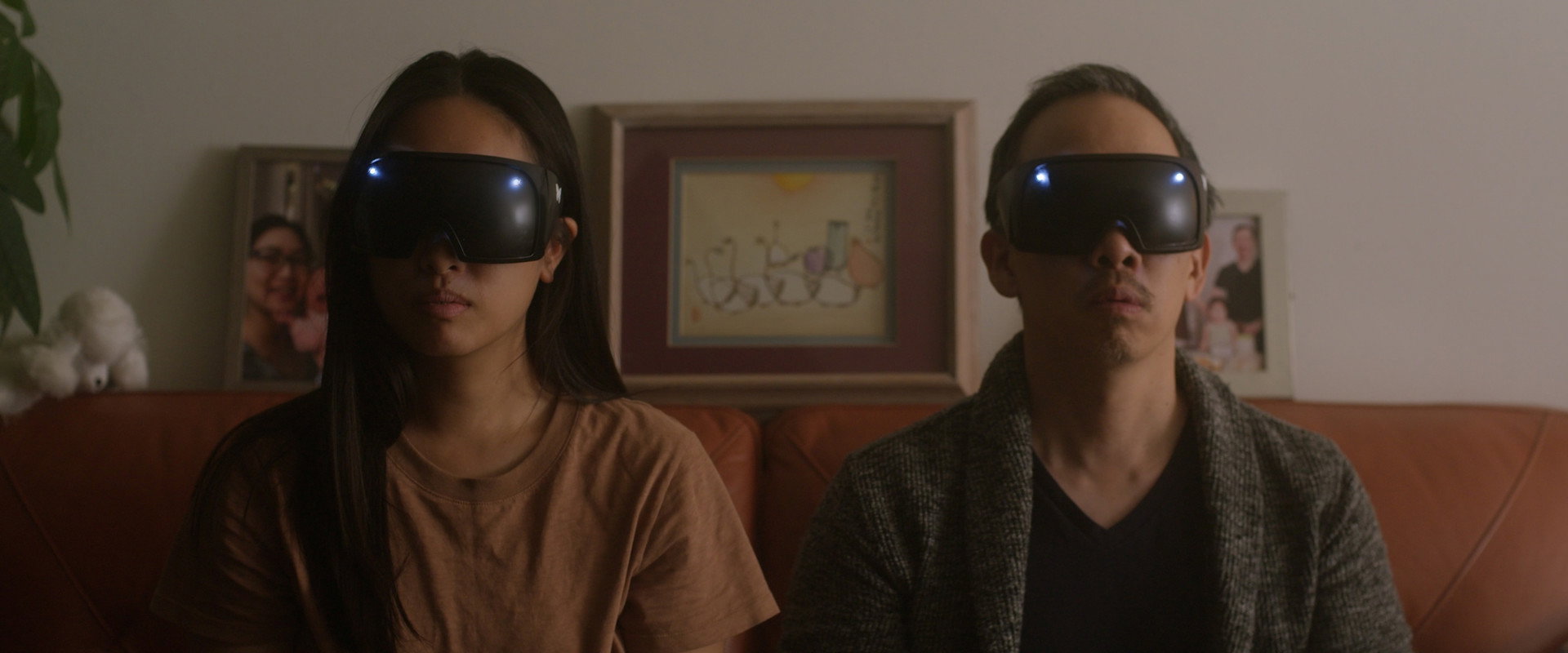 The Metamorphosis Project's banner image