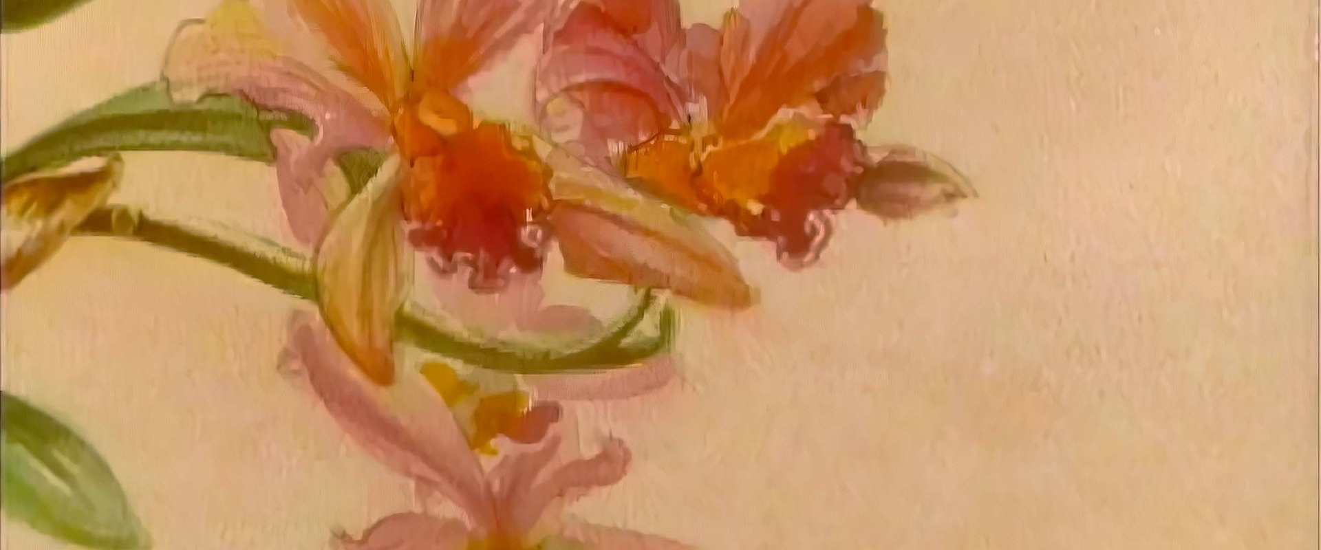 The Orchid House