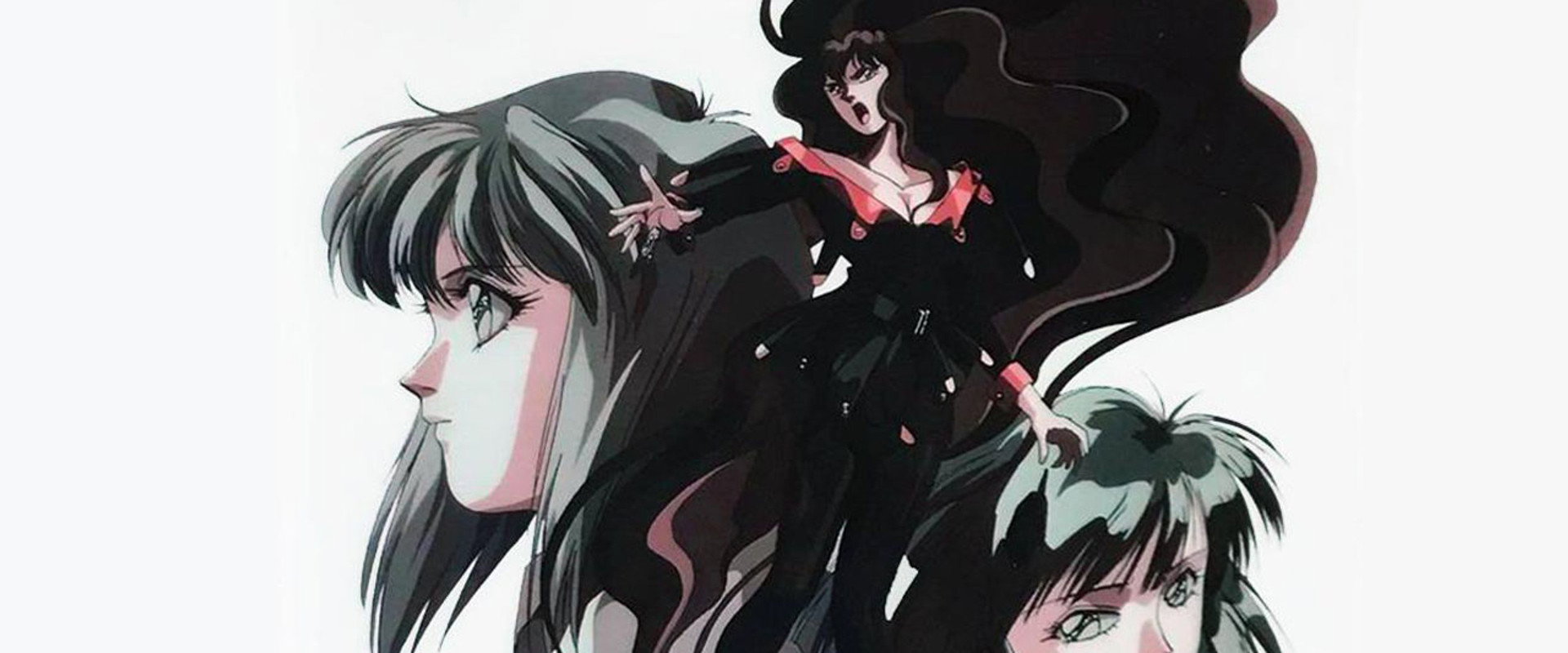 Compiler's banner image