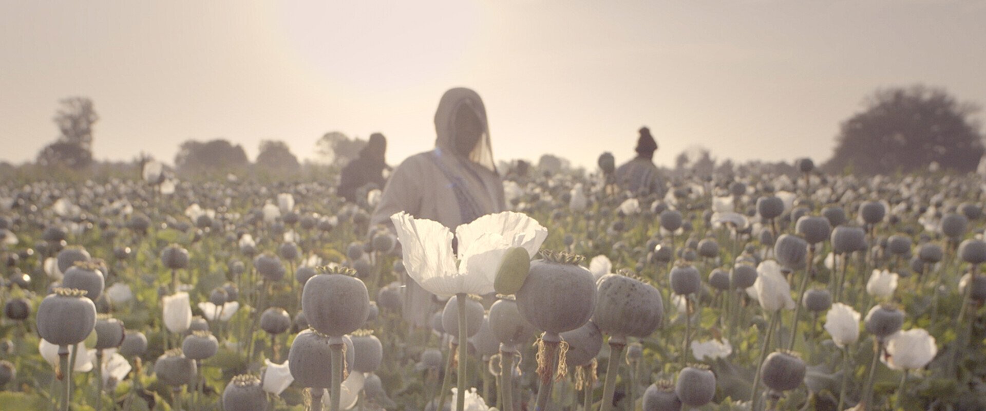 The Crime of the Century