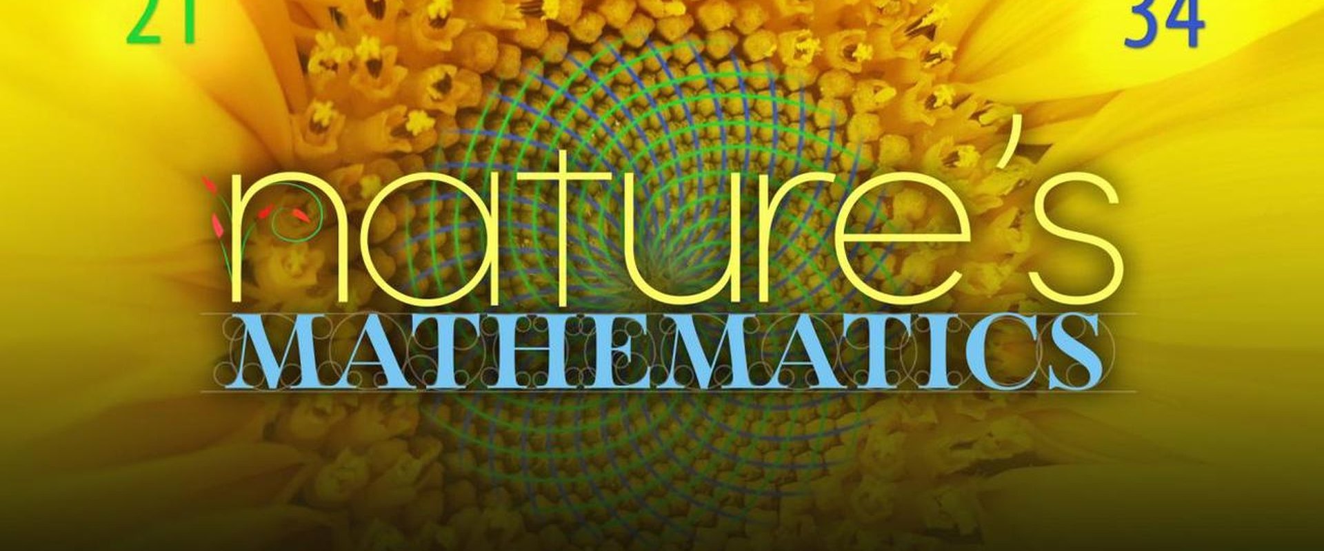 Nature's Mathematics