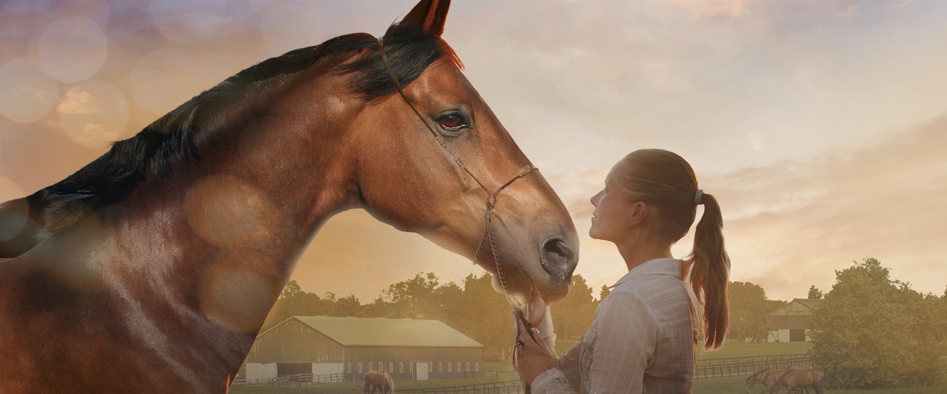 A Horse Tale