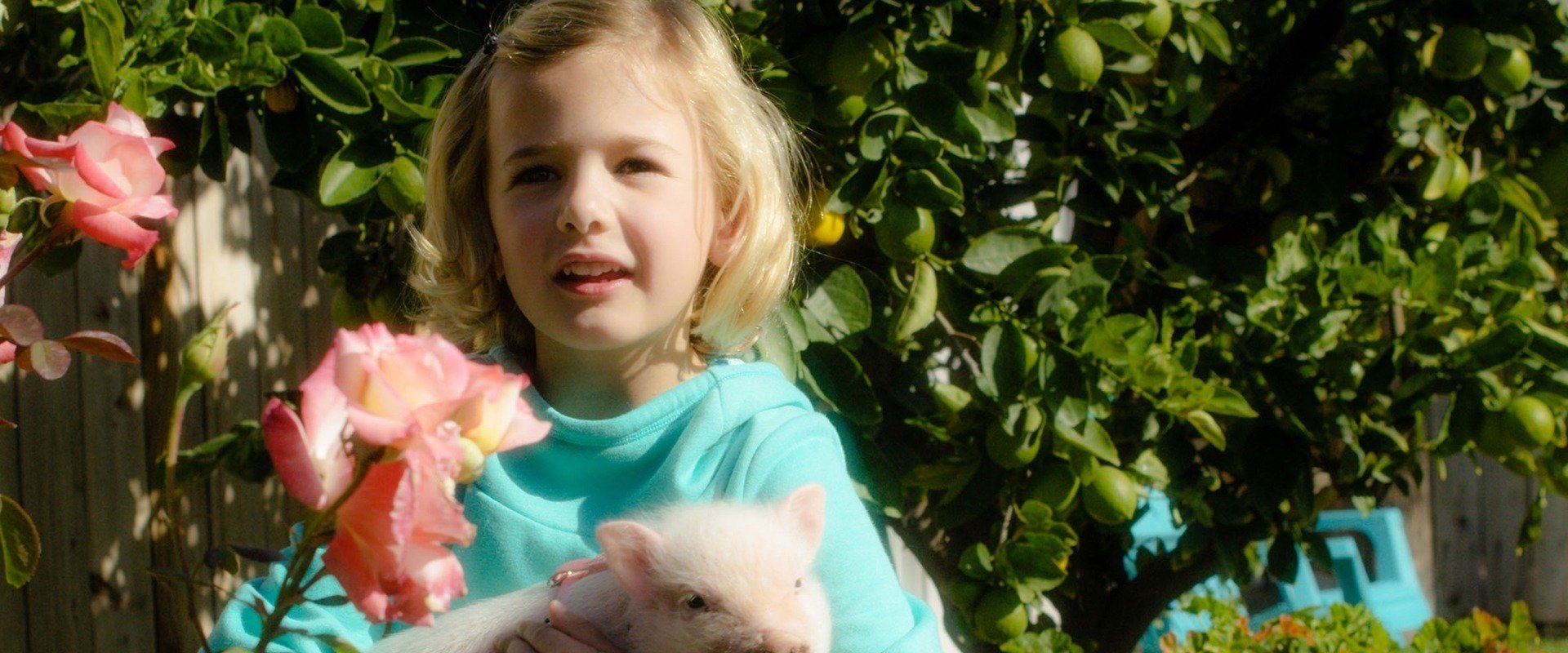 Arlo: The Burping Pig