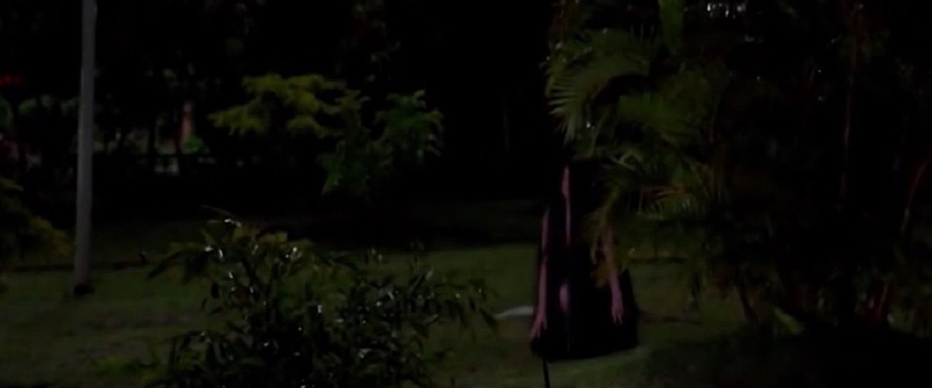 Cumade Fulozinha 4: A Lenda Ressurge's banner image