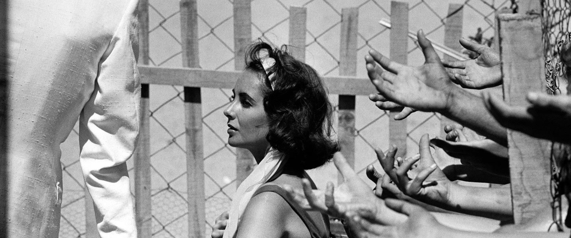 Suddenly, Last Summer