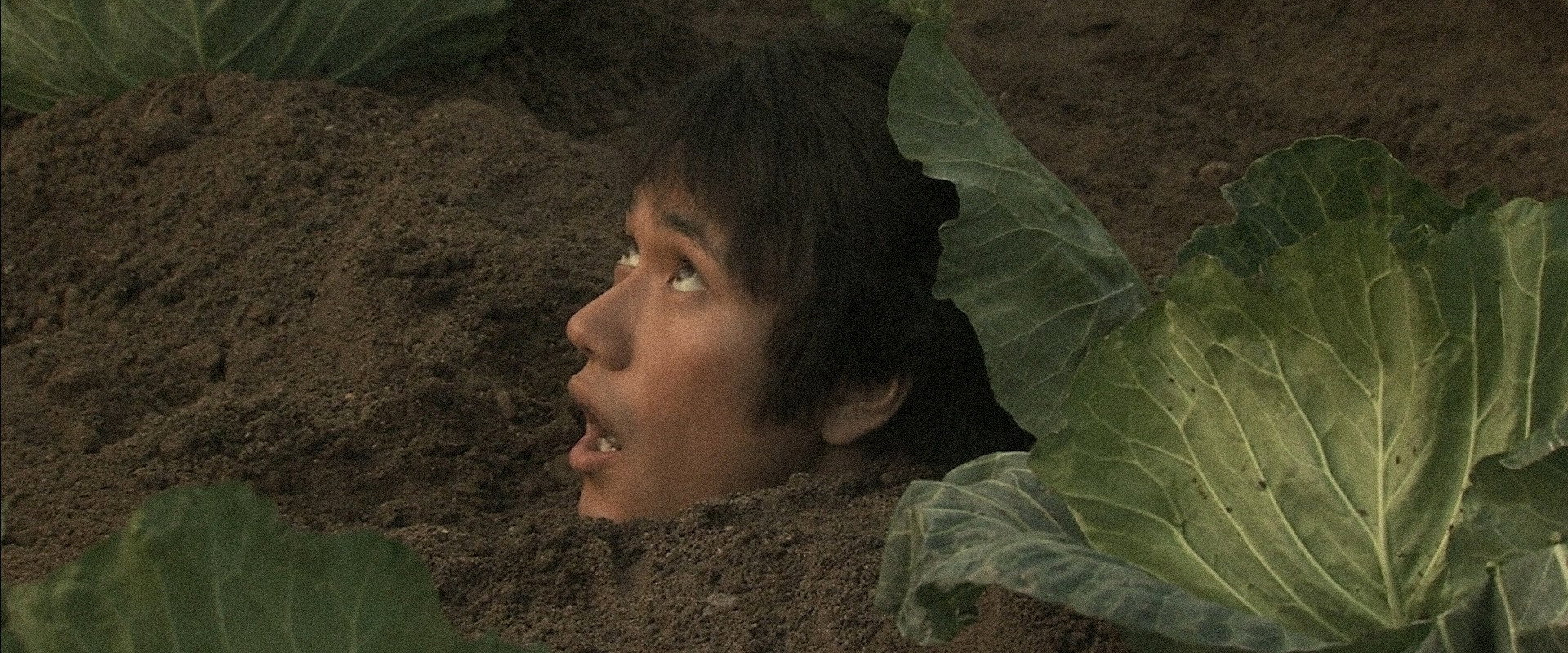 Bare Essence of Life's banner image
