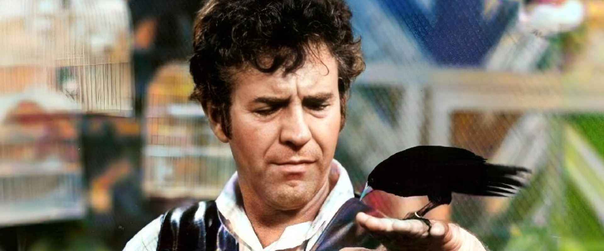 Saramandaia's banner image