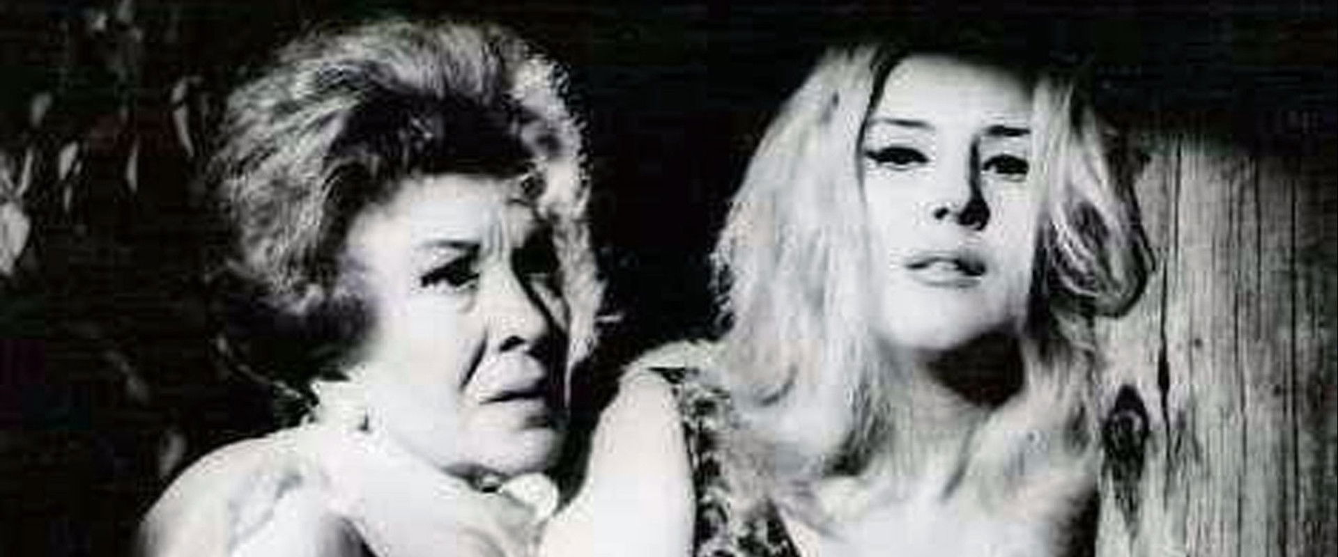 María M.'s banner image