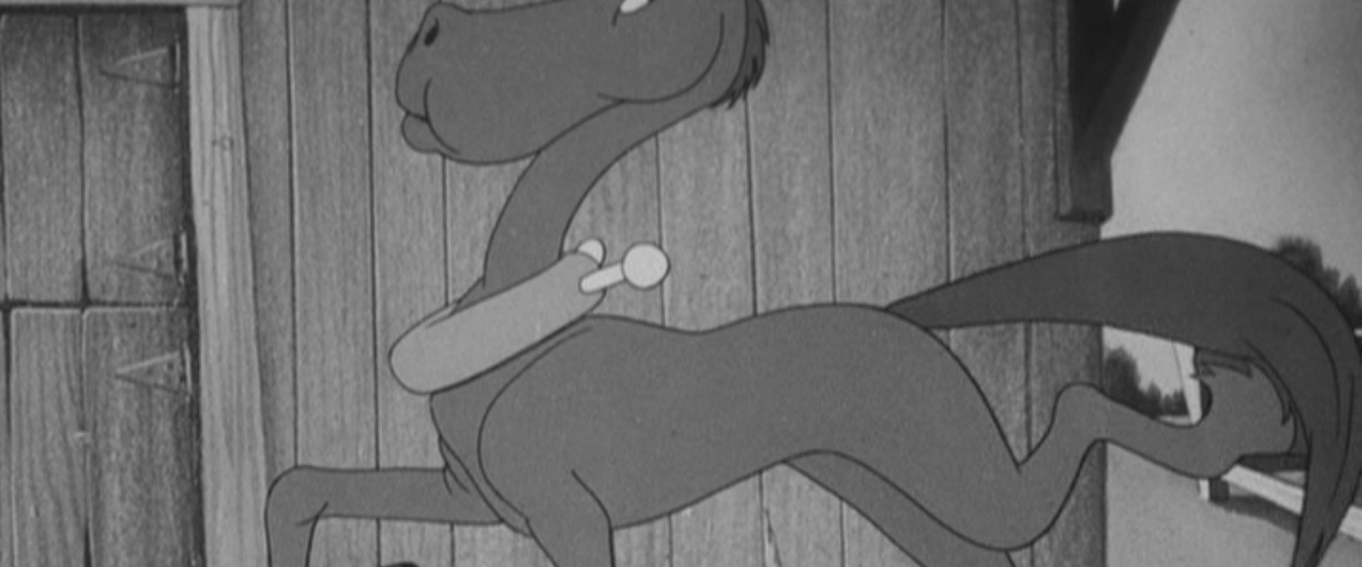 Porky's Prize Pony