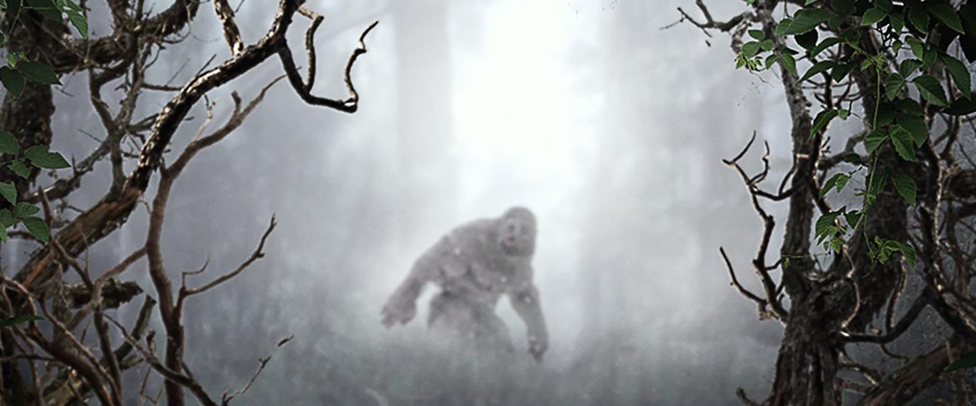 MonsterQuest