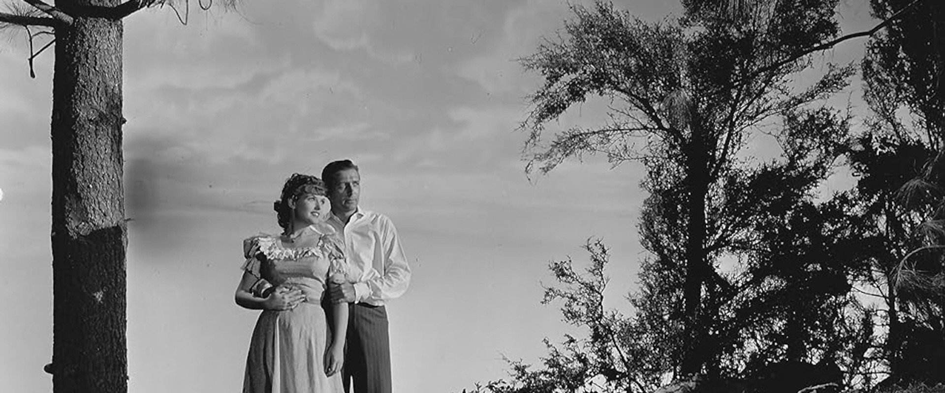 Roaring Guns's banner image