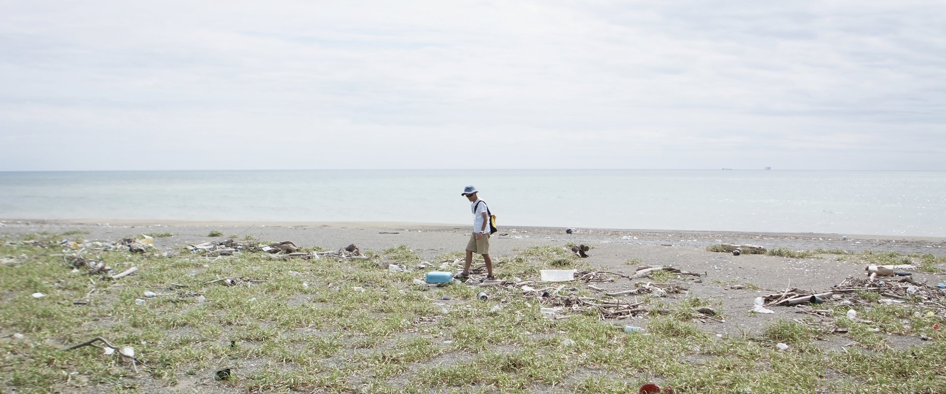 Walk the Tideline