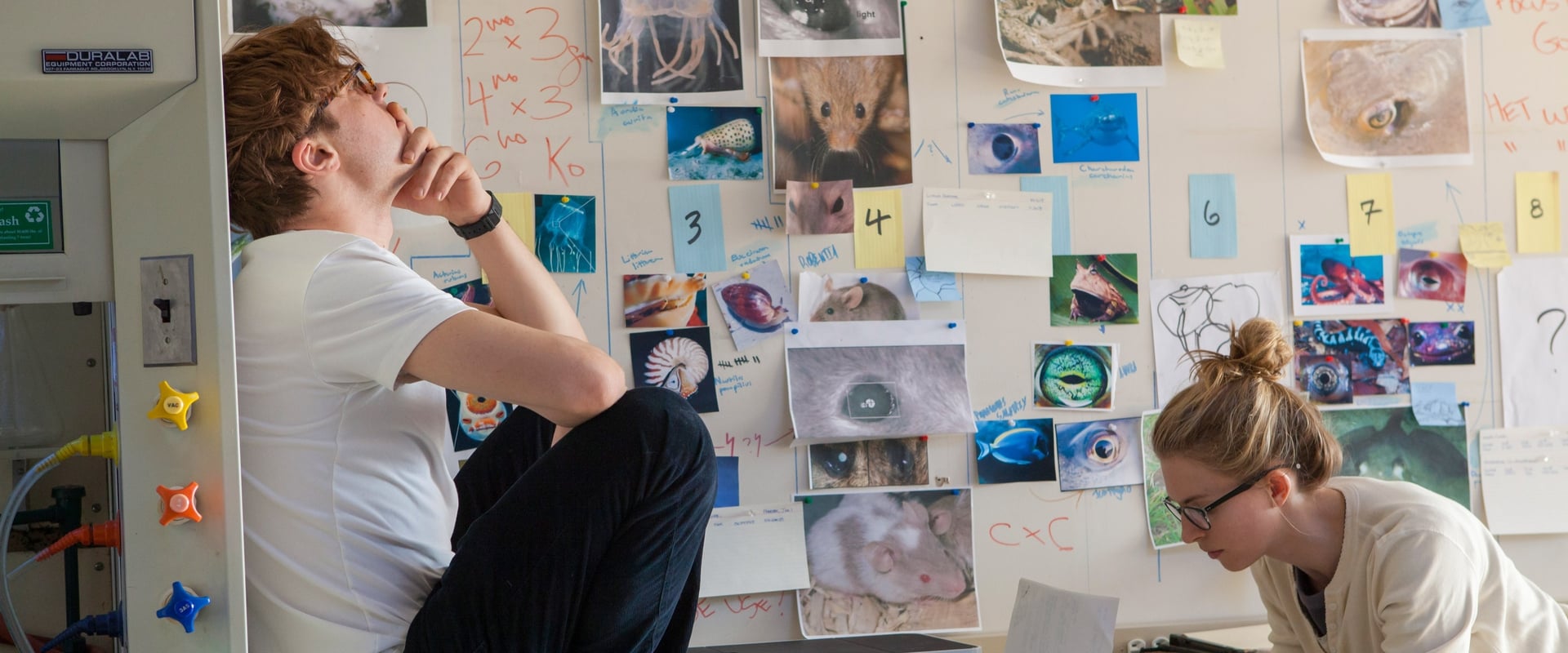 I Origins - Im Auge des Ursprungs