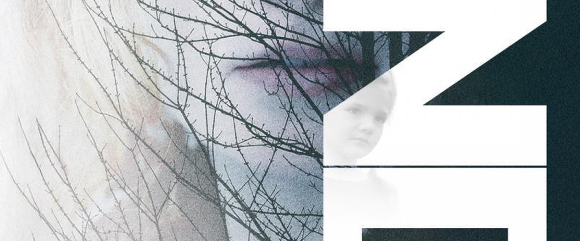 Vanished Out of Sight