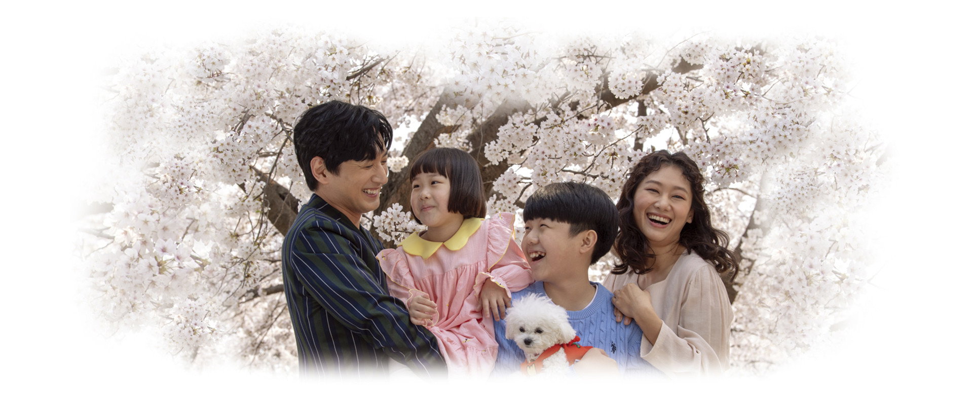 Mom Has an Affair's banner image