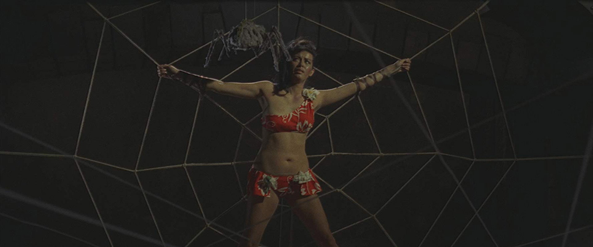 Executioners, Masks, Secrets: Italian Horror in the Sixties's banner image