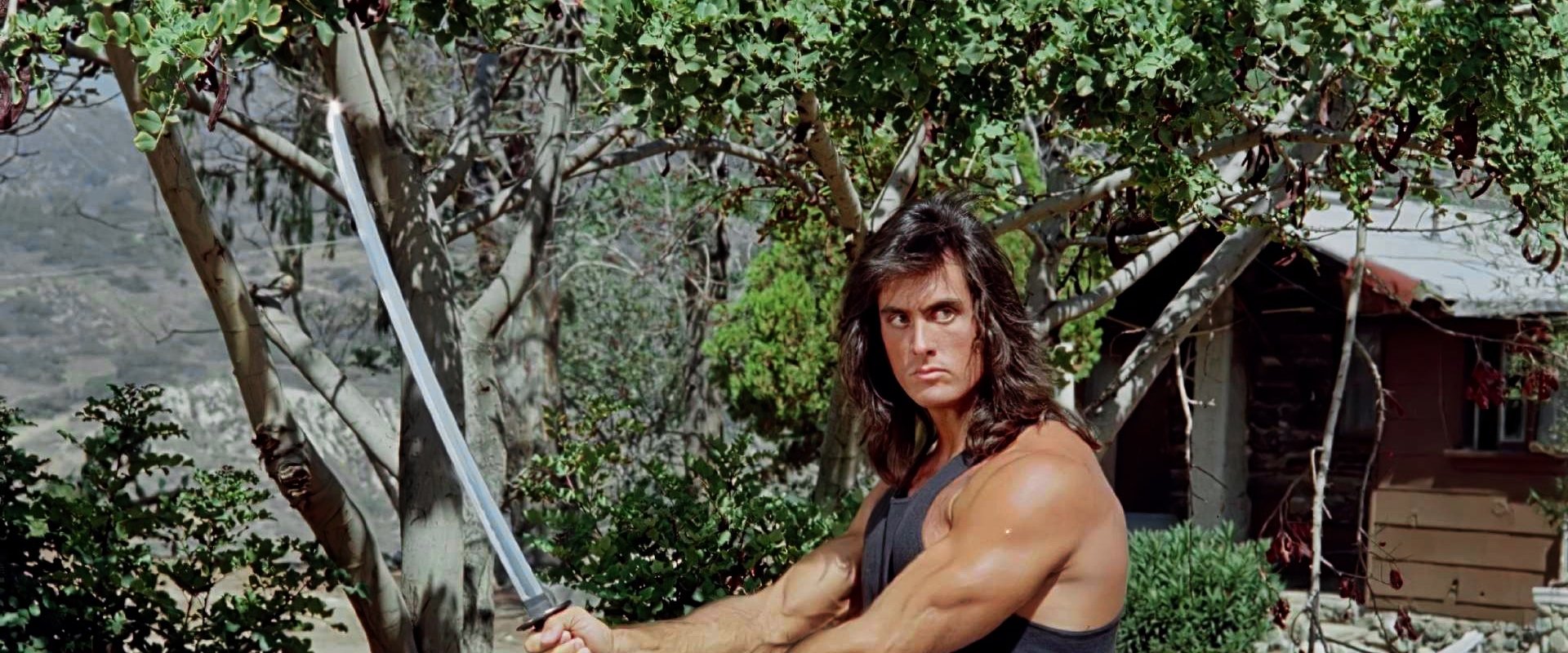 Samurai Cop