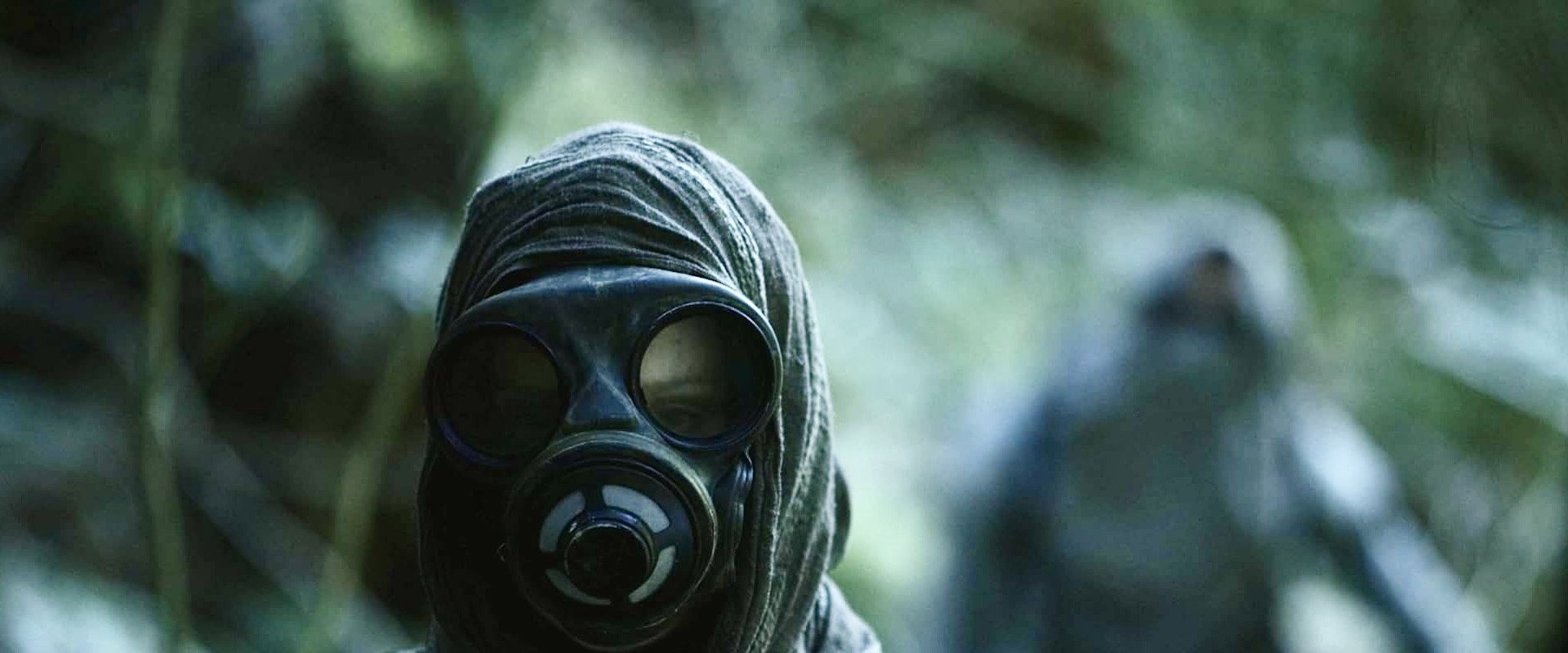 Haley's banner image