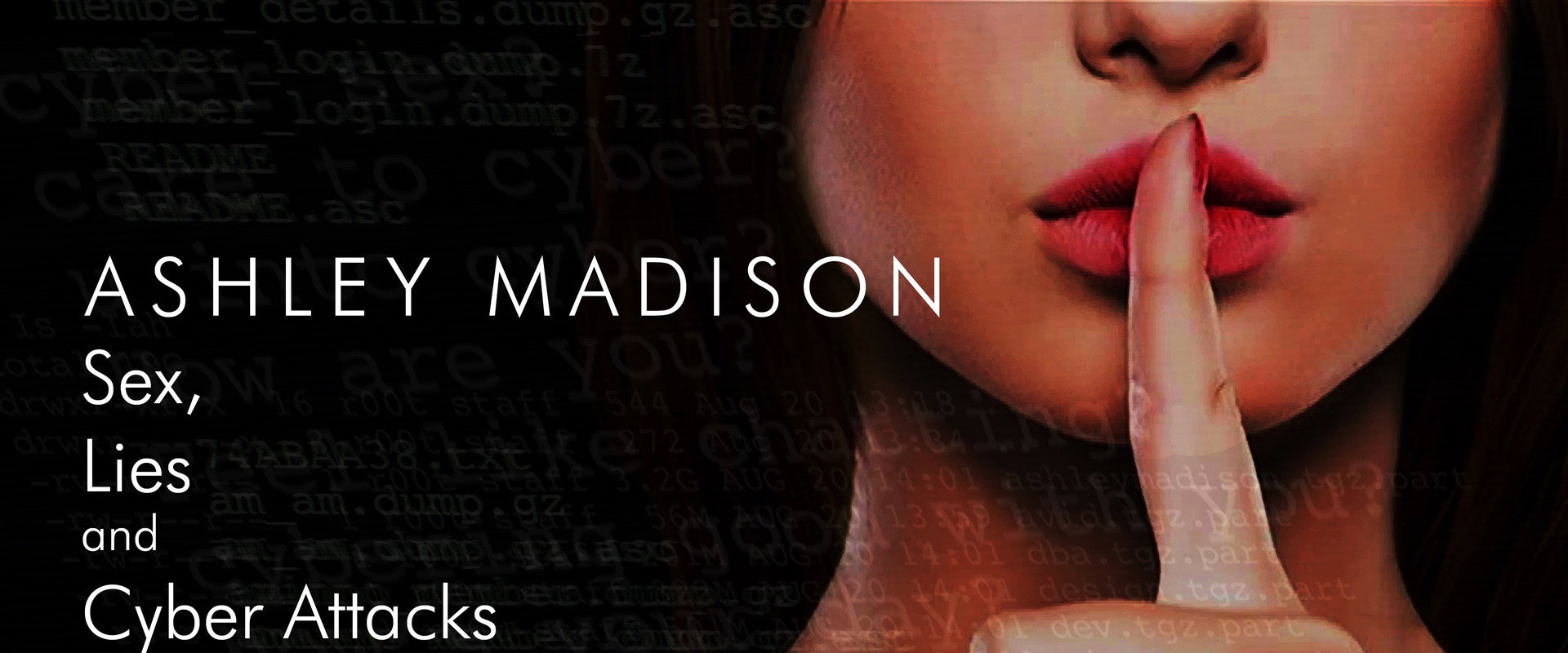 Ashley Madison: Sex, Lies and Cyber Attacks's banner image