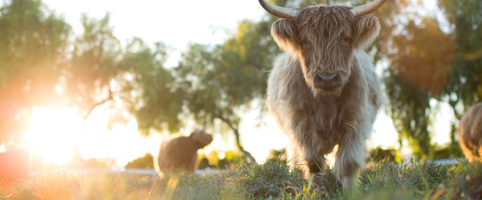 Unsere große kleine Farm: Die Rückkehr