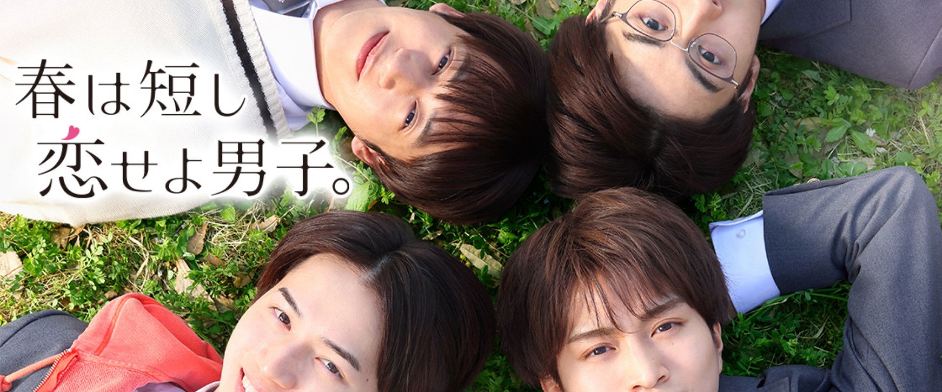 Springtime is Short, Fall in Love, Boys.