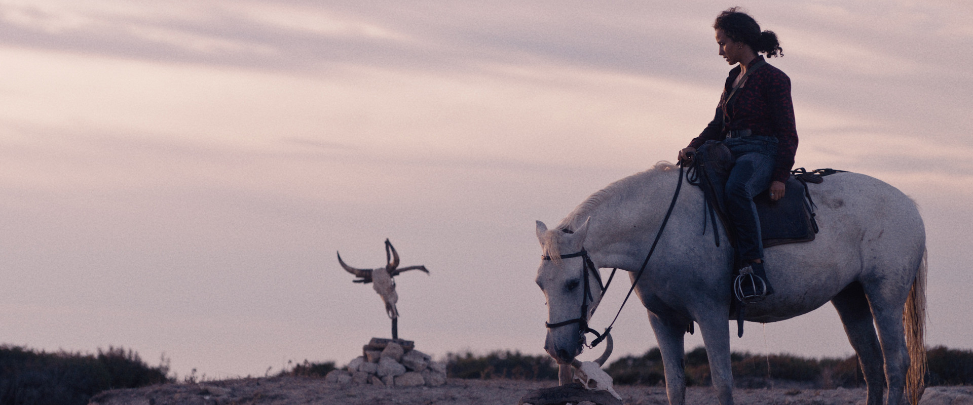 Animale's banner image