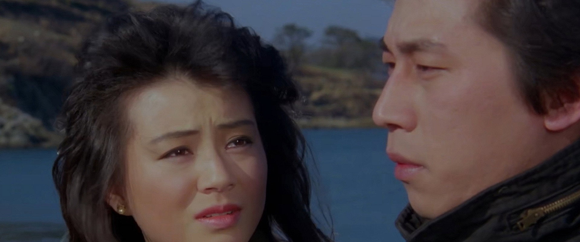 A Migrant Bird in a Nest's banner image