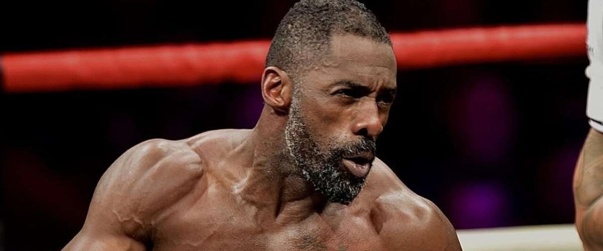 Idris Elba: Fighter