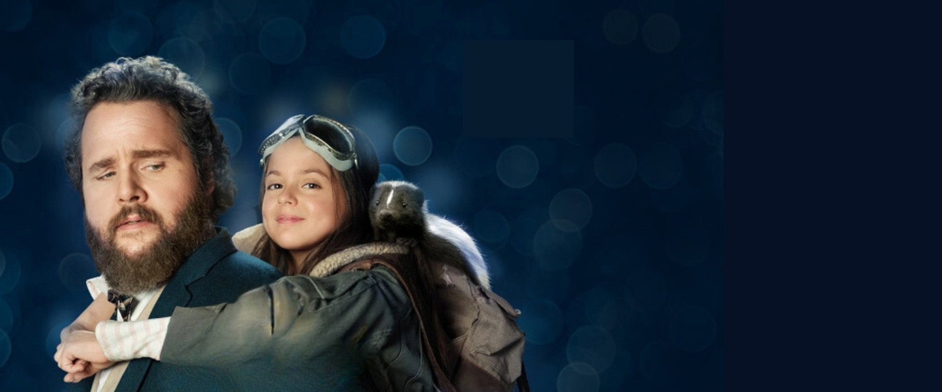 Miss Boots's banner image