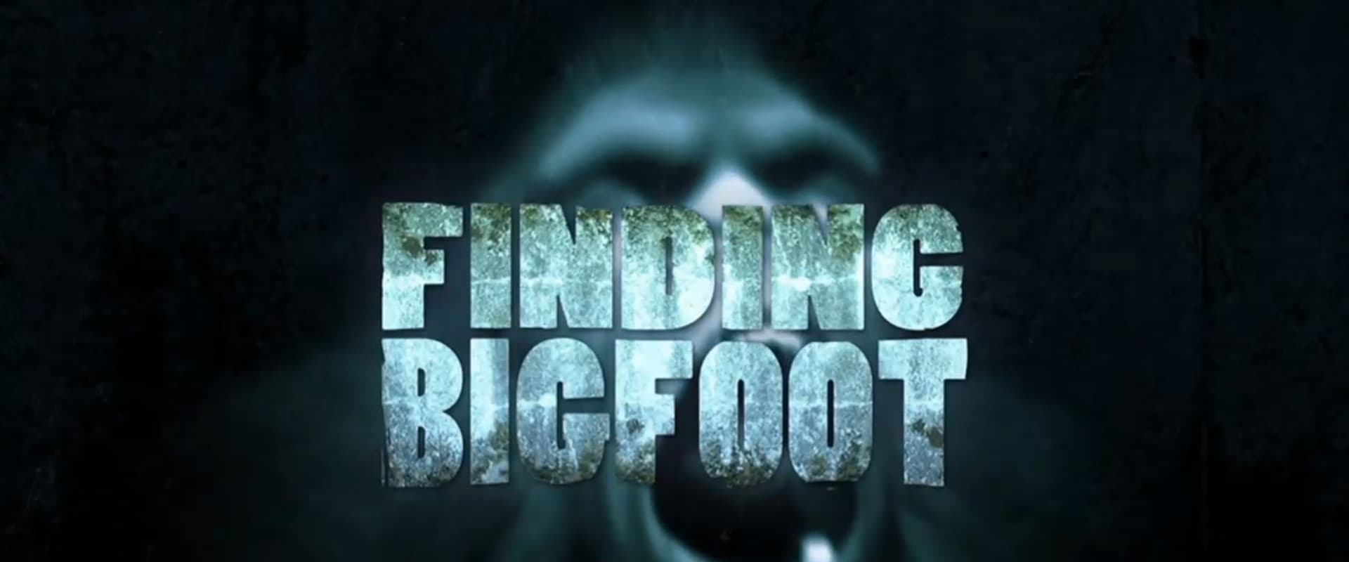 Finding Bigfoot