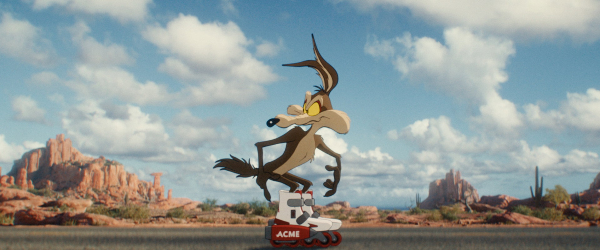 Coyote vs ACME's banner image