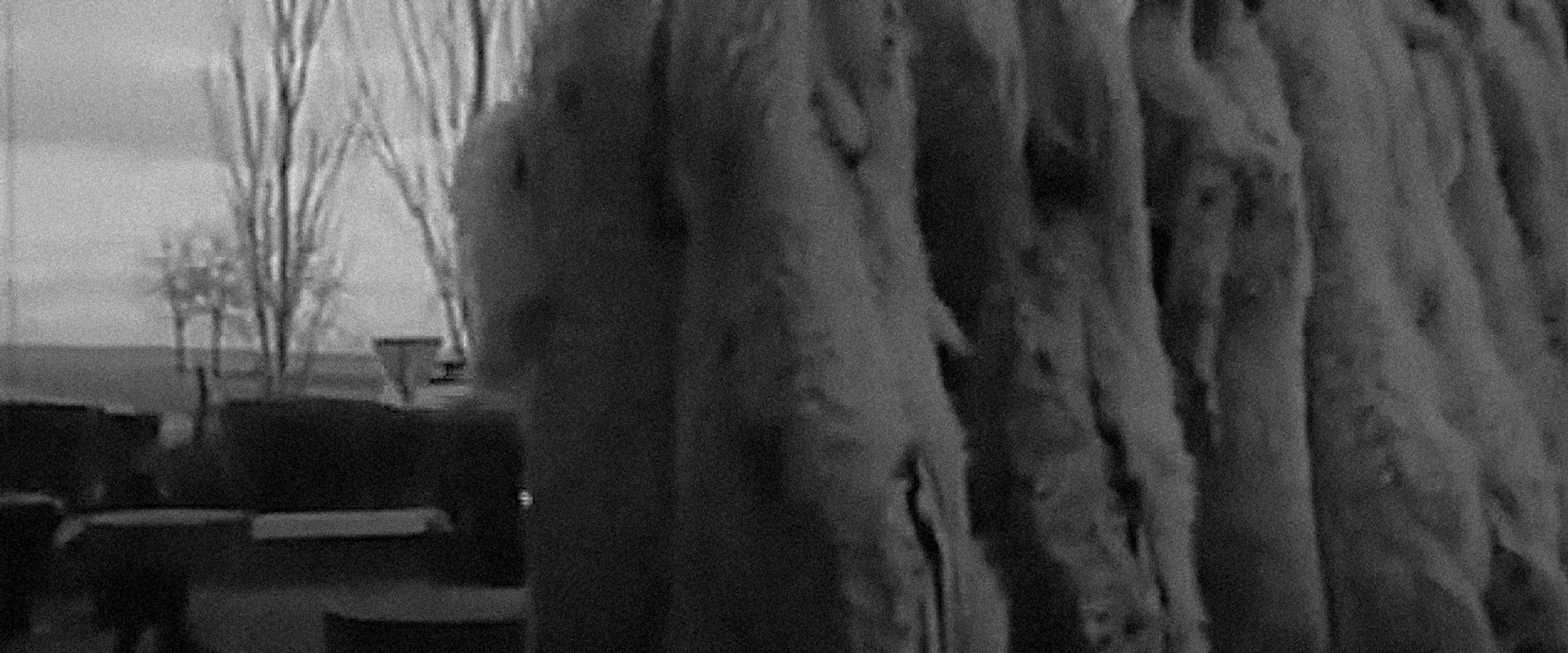 The Sweet Sound of Death's banner image