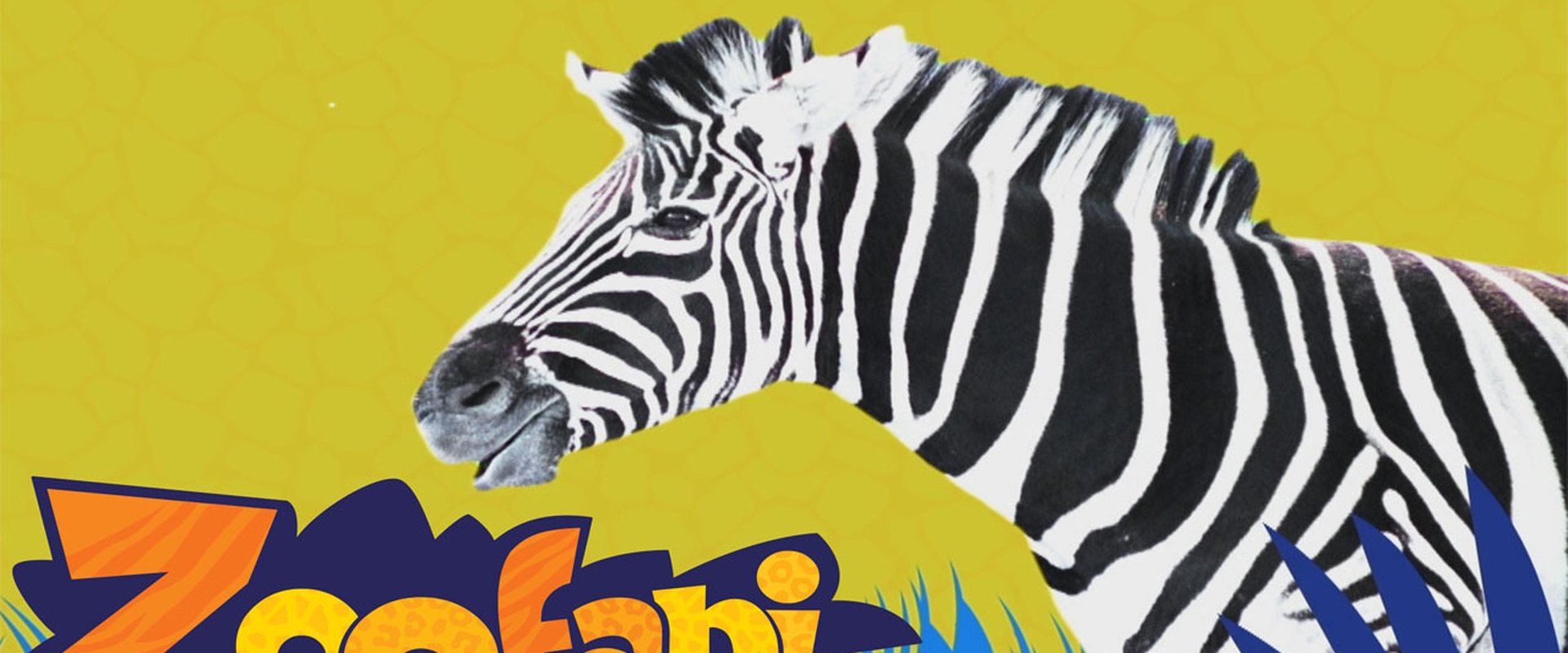 Zoofari