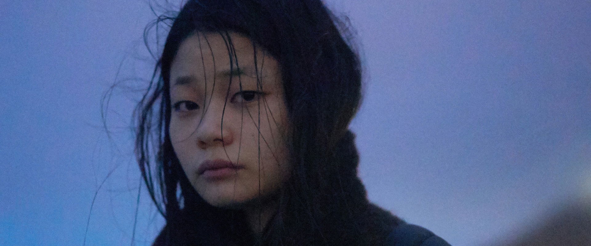 Steel Flower's banner image