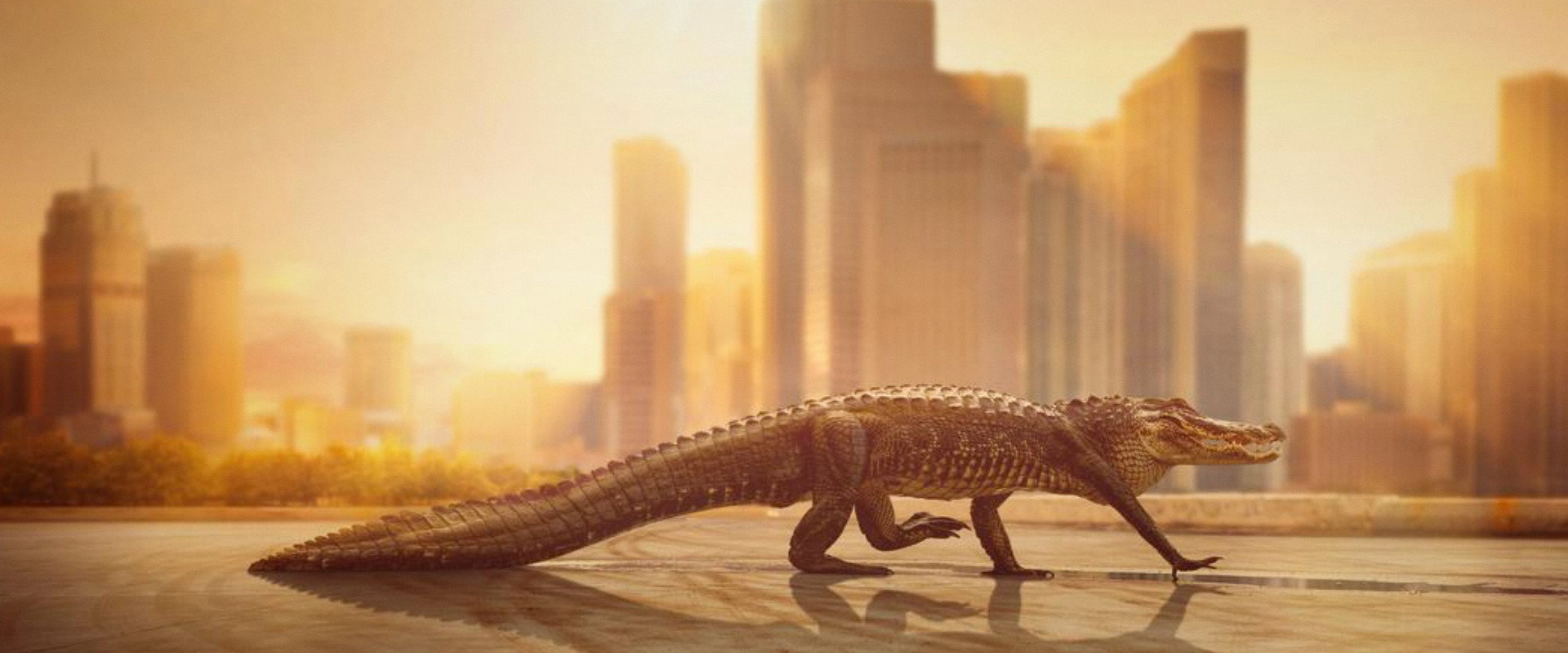 Cities: Nature's New Wild