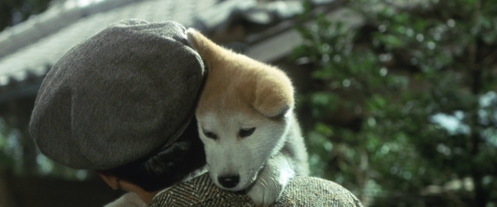 Hachiko