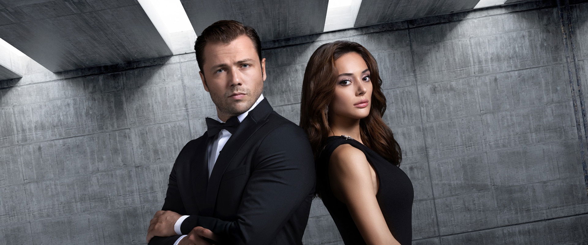 The Shadow Team's banner image