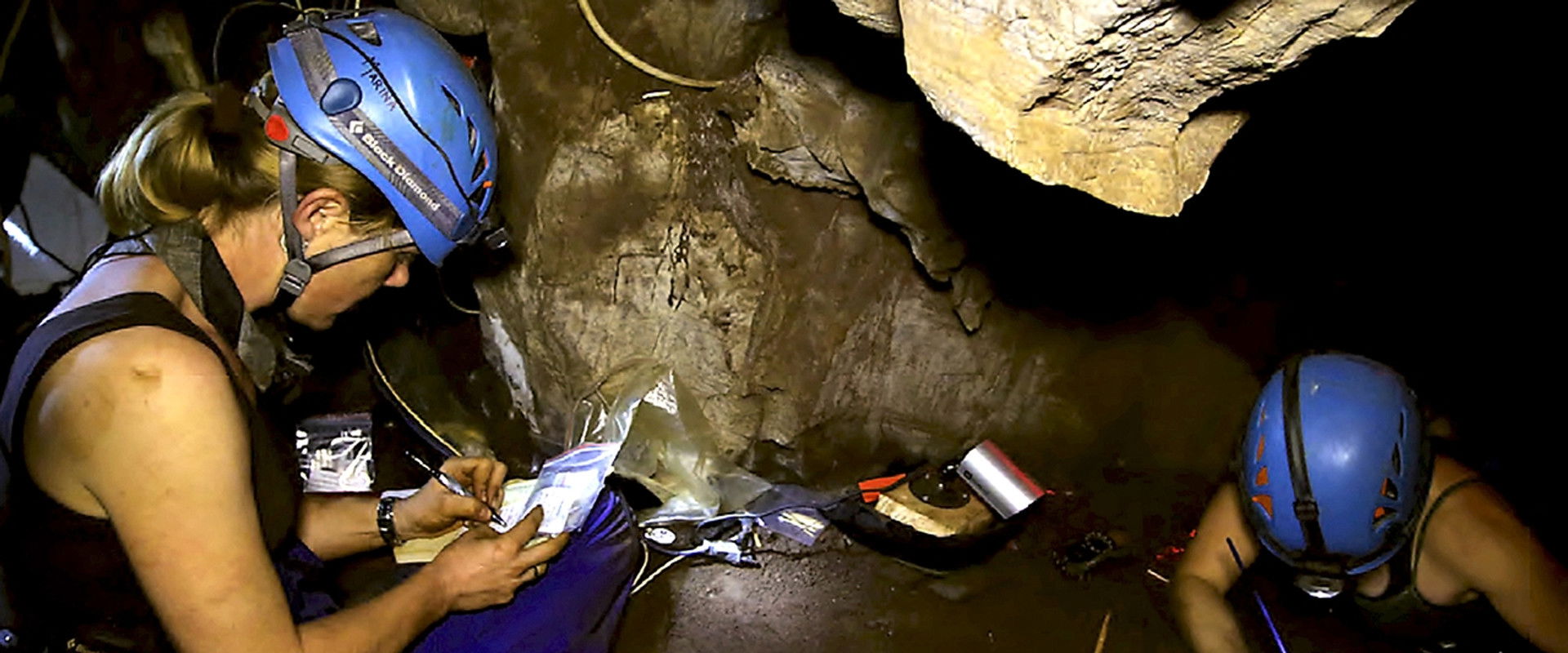 Dawn of Humanity's banner image