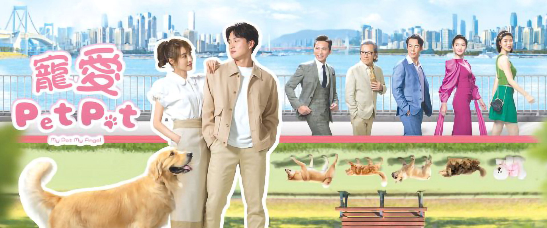 My Pet My Angel's banner image