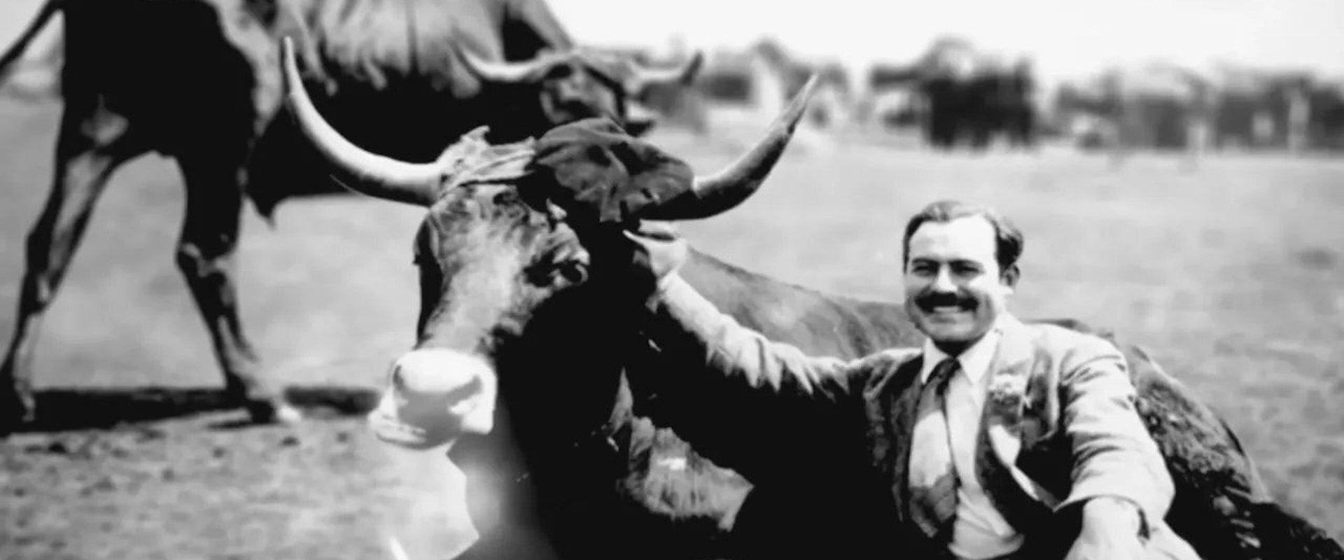 Hemingway Unknown