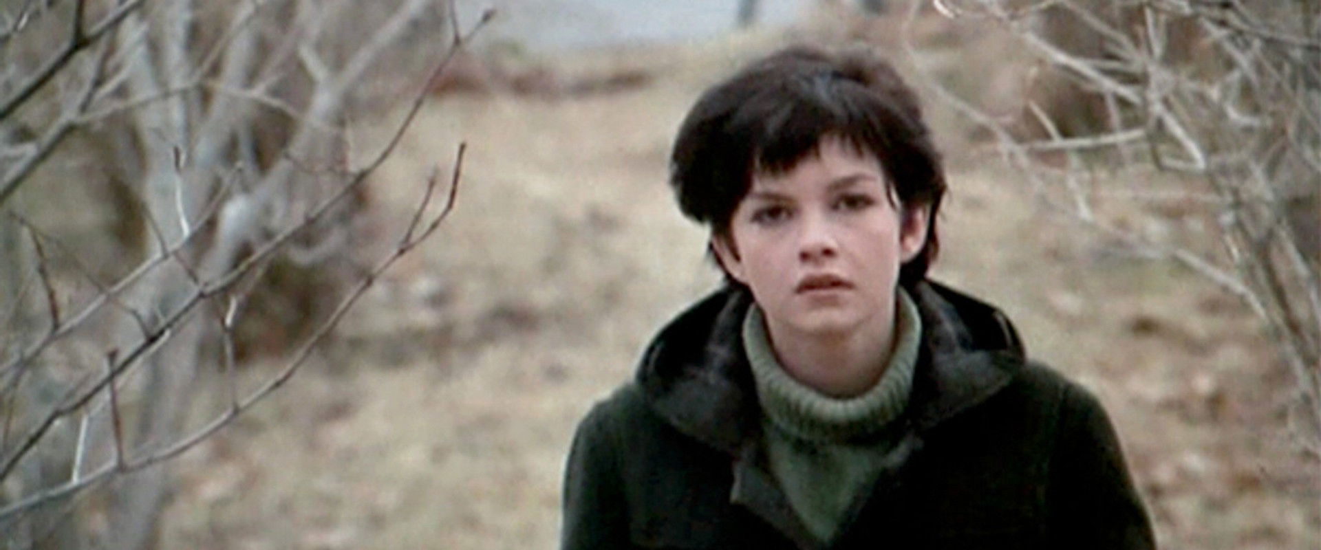 Isabel's banner image