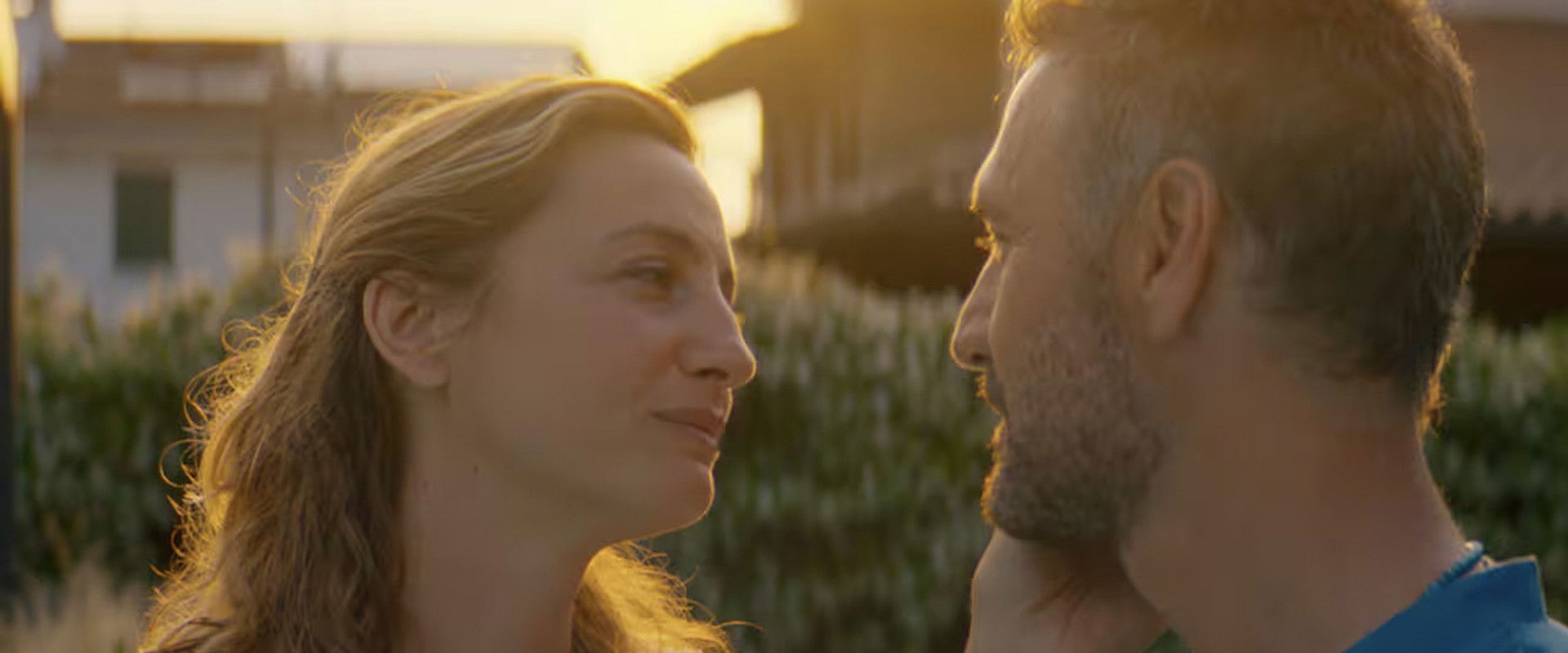 Amici comuni's banner image