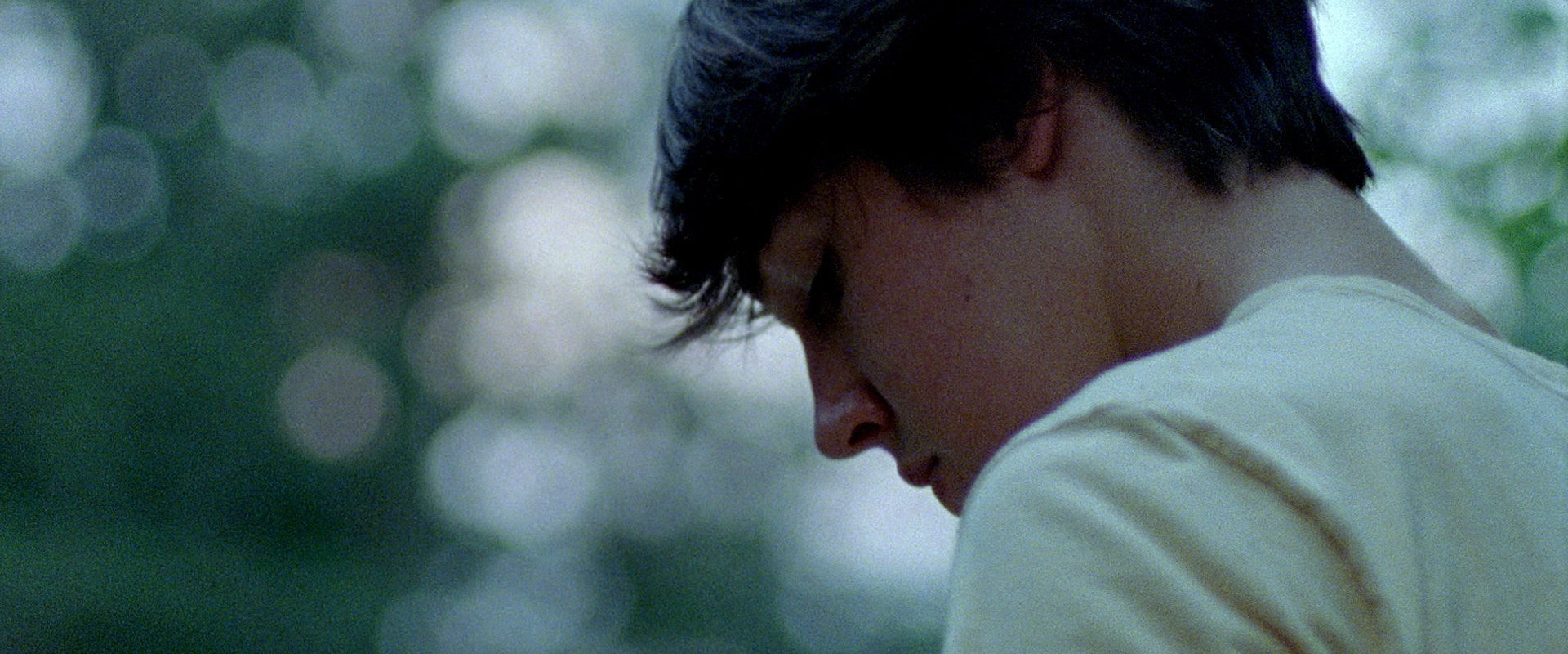 Sahkanaga's banner image