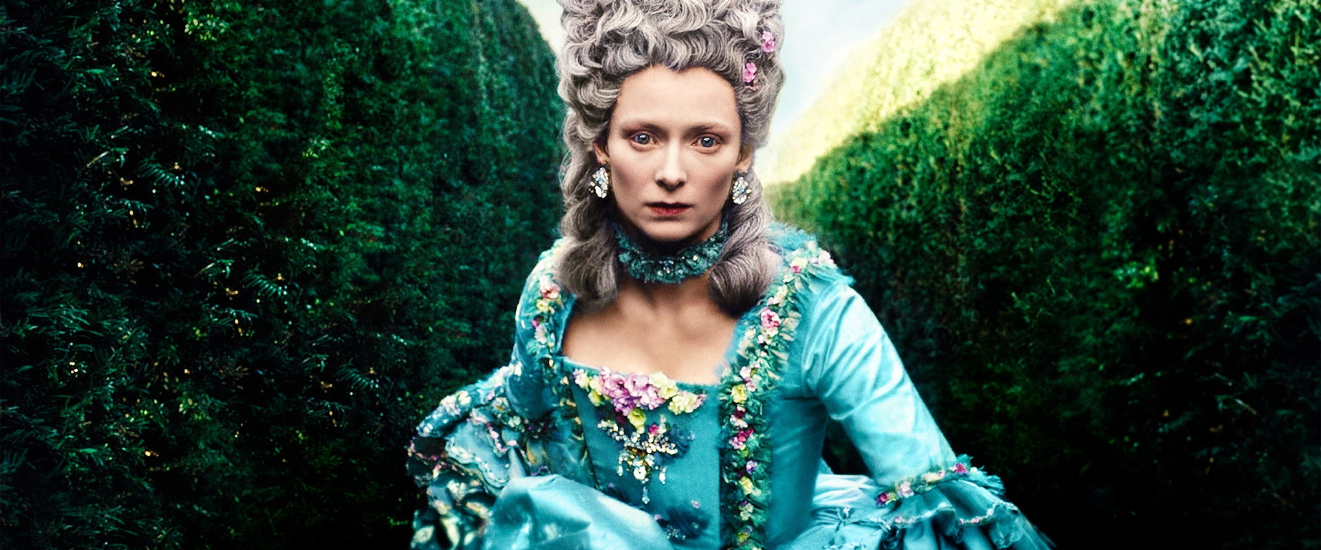 Orlando's banner image