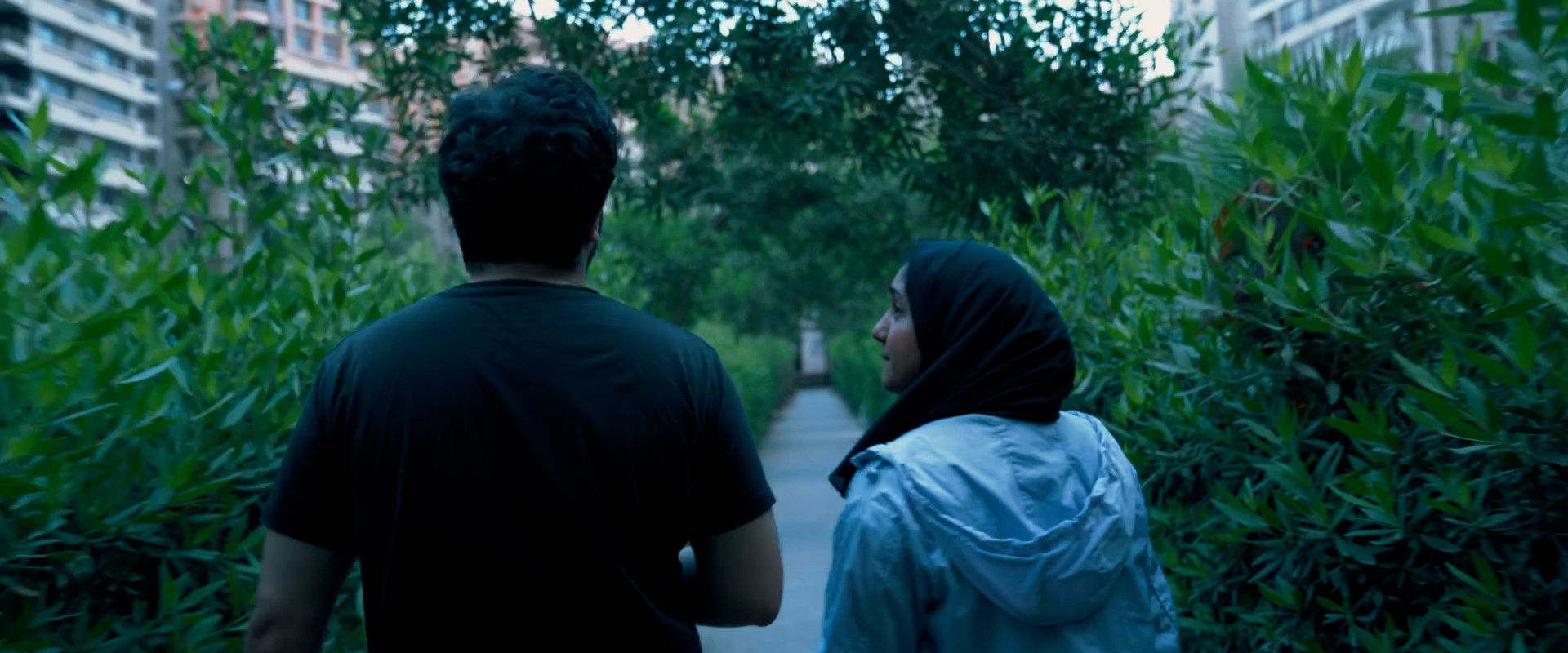 Solo: A love story's banner image